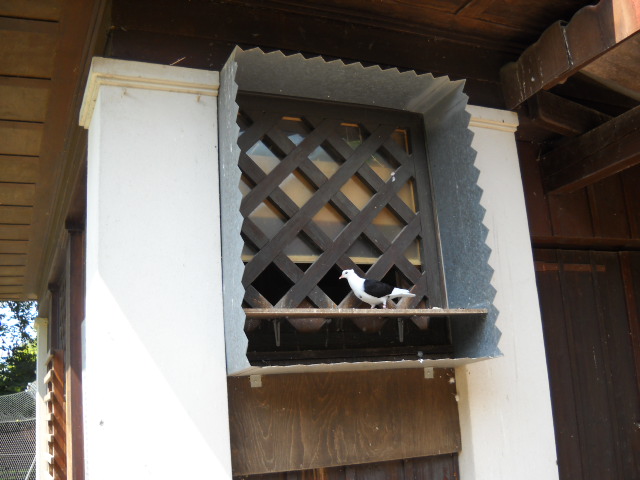 Snímek 045.jpg