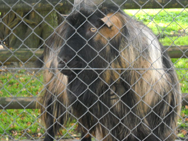 Snímek 029.jpg